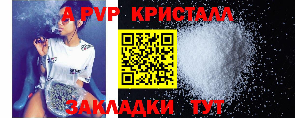 Alfa_PVP СК КРИС Саратов