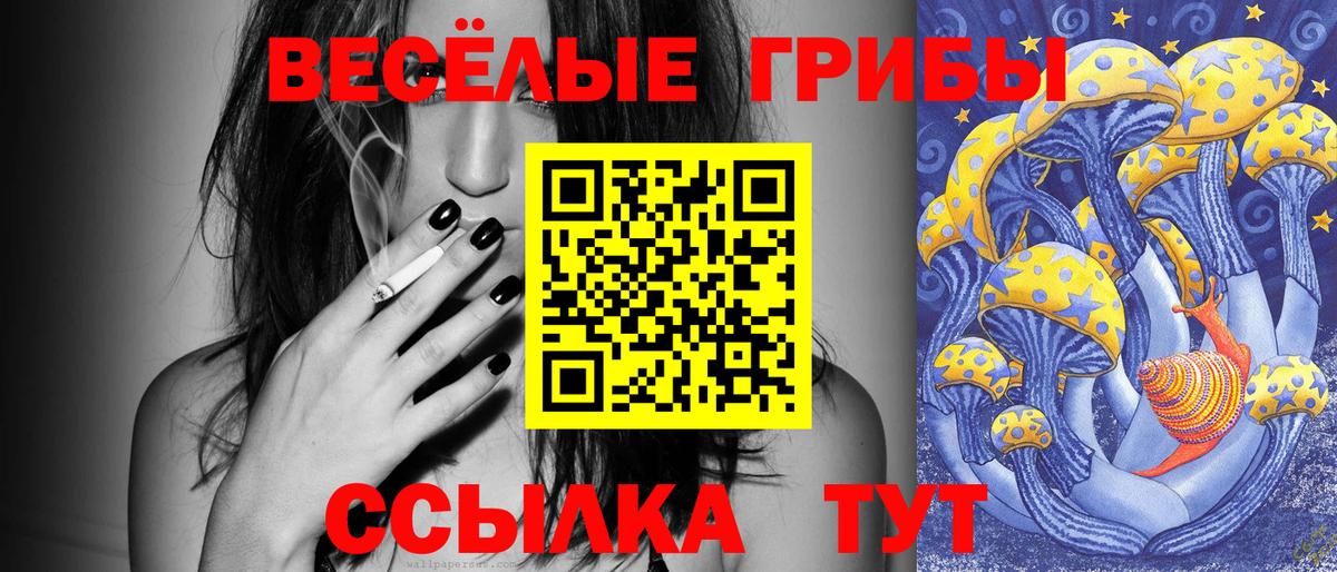 Псилоцибиновые грибы мицелий Саратов