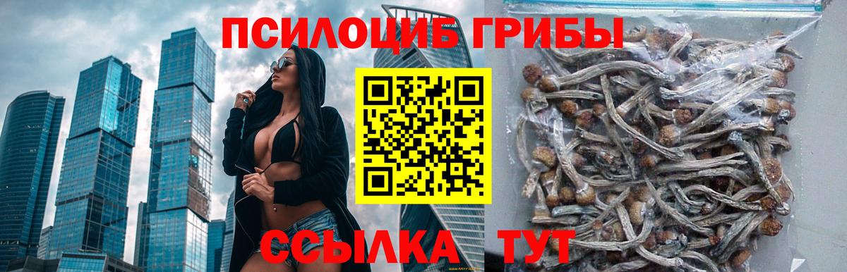 Псилоцибиновые грибы ЛСД  Псилоцибиновые грибы мухоморы  как найти наркотики  Вход с VPN  Саратов 